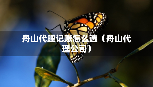 舟山代理記賬怎么選（舟山代理公司）