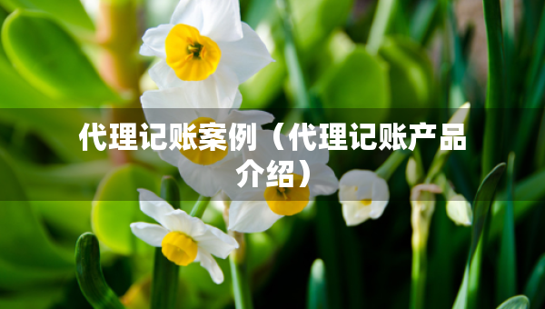 代理記賬案例（代理記賬產(chǎn)品介紹）