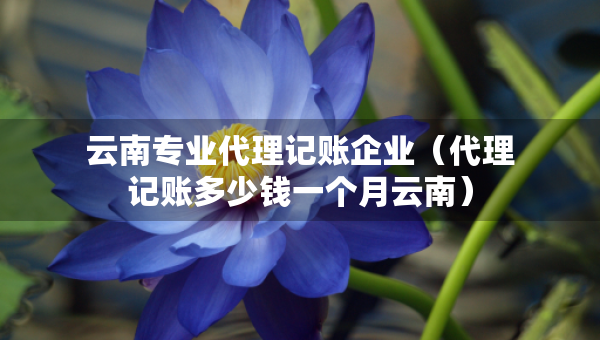 云南專業(yè)代理記賬企業(yè)（代理記賬多少錢一個月云南）