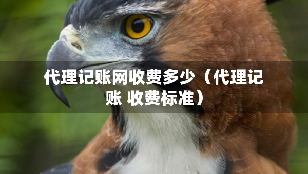 代理記賬網(wǎng)收費(fèi)多少（代理記賬 收費(fèi)標(biāo)準(zhǔn)）