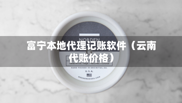 富寧本地代理記賬軟件（云南代賬價格）