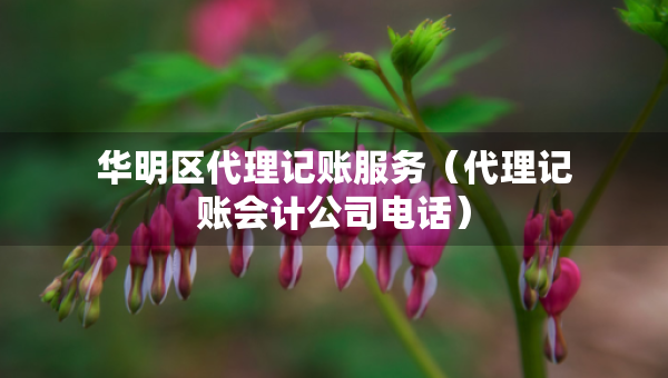 華明區(qū)代理記賬服務(wù)（代理記賬會(huì)計(jì)公司電話(huà)）