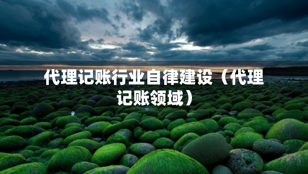 代理記賬行業(yè)自律建設(shè)（代理記賬領(lǐng)域）