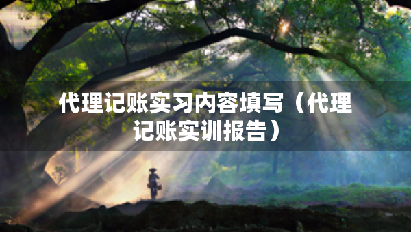 代理記賬實習(xí)內(nèi)容填寫（代理記賬實訓(xùn)報告）