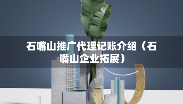 石嘴山推廣代理記賬介紹（石嘴山企業(yè)拓展）