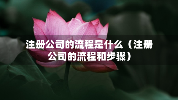 注冊公司的流程是什么（注冊公司的流程和步驟）