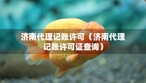 濟南代理記賬許可（濟南代理記賬許可證查詢）