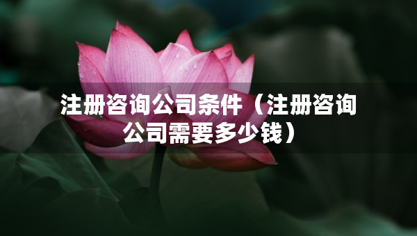 注冊(cè)咨詢公司條件（注冊(cè)咨詢公司需要多少錢）