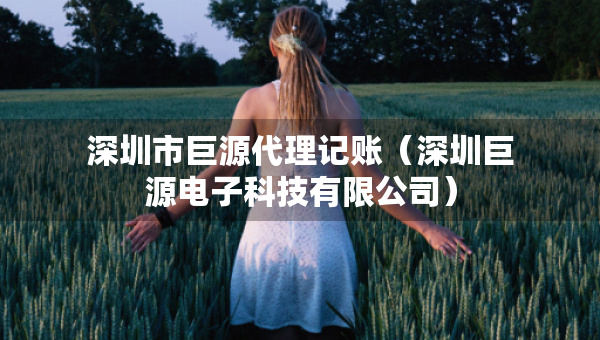 深圳市巨源代理記賬（深圳巨源電子科技有限公司）