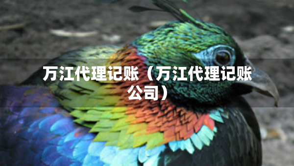 萬江代理記賬（萬江代理記賬公司）