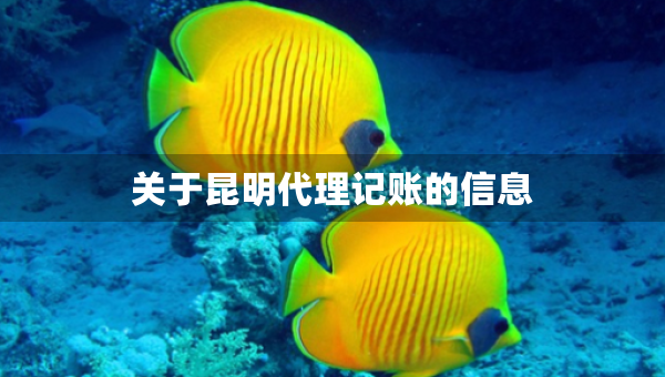 關(guān)于昆明代理記賬的信息