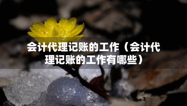 會(huì)計(jì)代理記賬的工作（會(huì)計(jì)代理記賬的工作有哪些）