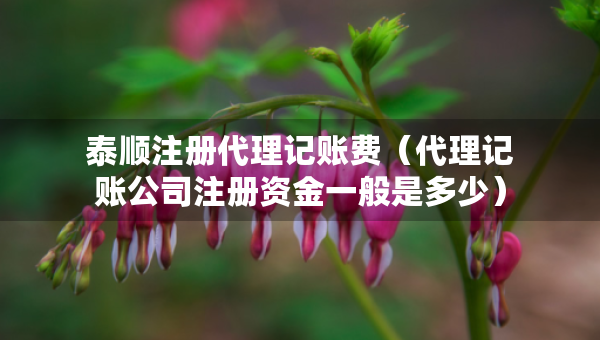泰順注冊代理記賬費(fèi)（代理記賬公司注冊資金一般是多少）