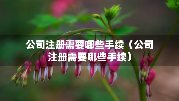 公司注冊(cè)需要哪些手續(xù)（公司注冊(cè)需要哪些手續(xù)）