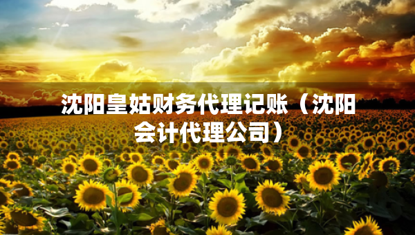 沈陽(yáng)皇姑財(cái)務(wù)代理記賬（沈陽(yáng)會(huì)計(jì)代理公司）