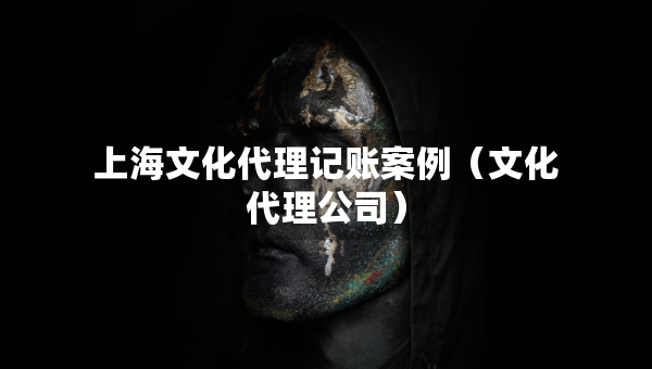 上海文化代理記賬案例（文化代理公司）