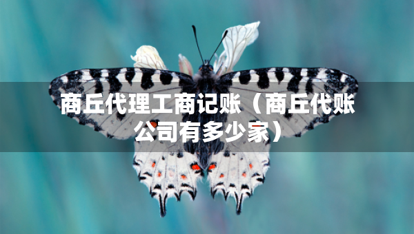 商丘代理工商記賬（商丘代賬公司有多少家）