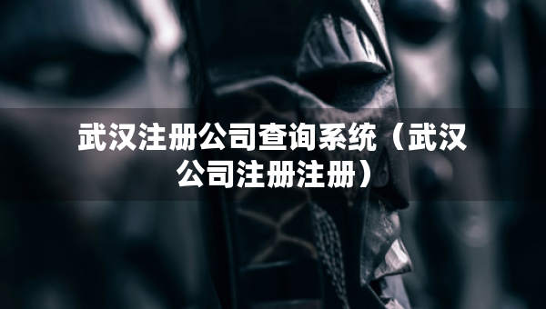 武漢注冊公司查詢系統(tǒng)（武漢公司注冊注冊）