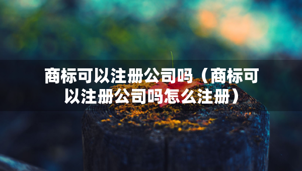 商標(biāo)可以注冊公司嗎（商標(biāo)可以注冊公司嗎怎么注冊）