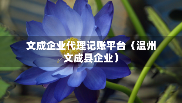 文成企業(yè)代理記賬平臺（溫州文成縣企業(yè)）