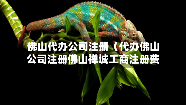 佛山代辦公司注冊(cè)（代辦佛山公司注冊(cè)佛山禪城工商注冊(cè)費(fèi)用）
