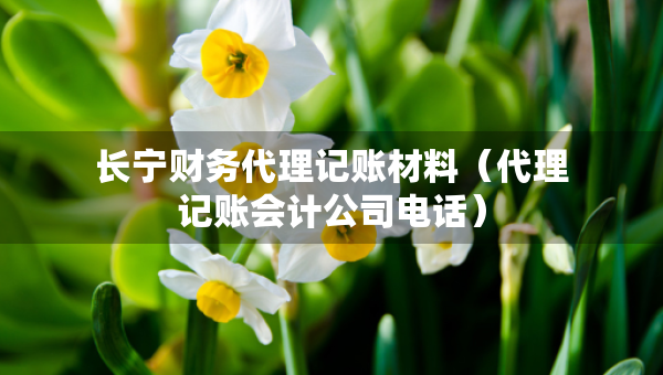 長寧財(cái)務(wù)代理記賬材料（代理記賬會(huì)計(jì)公司電話）