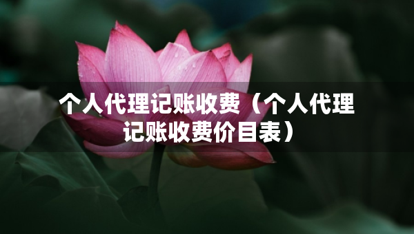 個人代理記賬收費（個人代理記賬收費價目表）