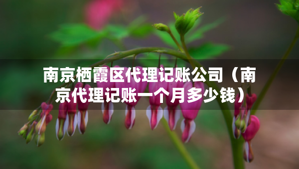 南京棲霞區(qū)代理記賬公司（南京代理記賬一個月多少錢）