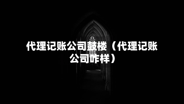 代理記賬公司鼓樓（代理記賬公司咋樣）