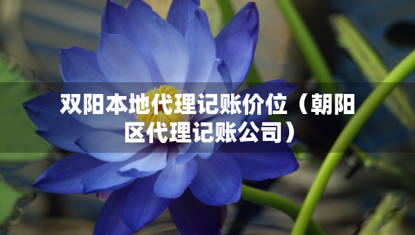 雙陽本地代理記賬價位（朝陽區(qū)代理記賬公司）