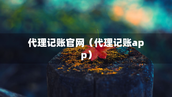 代理記賬官網(wǎng)（代理記賬app）