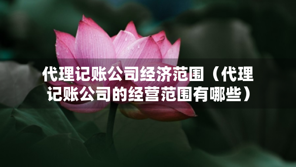 代理記賬公司經(jīng)濟范圍（代理記賬公司的經(jīng)營范圍有哪些）
