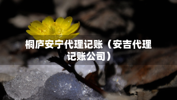 桐廬安寧代理記賬（安吉代理記賬公司）
