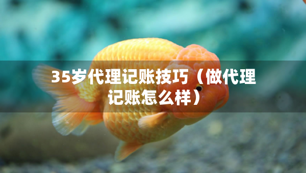 35歲代理記賬技巧（做代理記賬怎么樣）