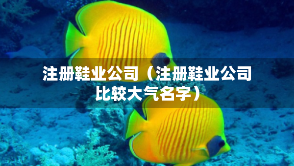注冊鞋業(yè)公司（注冊鞋業(yè)公司比較大氣名字）