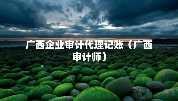 廣西企業(yè)審計(jì)代理記賬（廣西審計(jì)師）