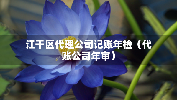 江干區(qū)代理公司記賬年檢（代賬公司年審）