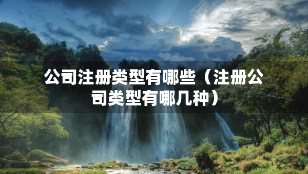 公司注冊類型有哪些（注冊公司類型有哪幾種）
