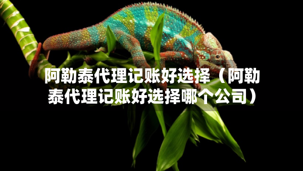阿勒泰代理記賬好選擇（阿勒泰代理記賬好選擇哪個公司）