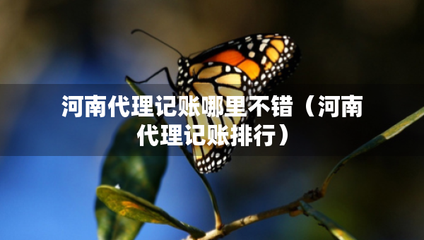 河南代理記賬哪里不錯（河南代理記賬排行）