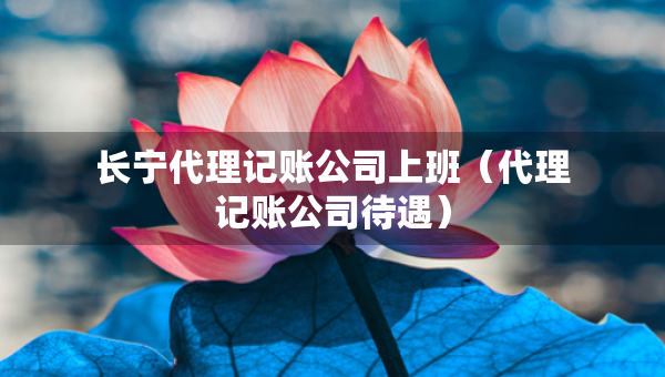 長(zhǎng)寧代理記賬公司上班（代理記賬公司待遇）