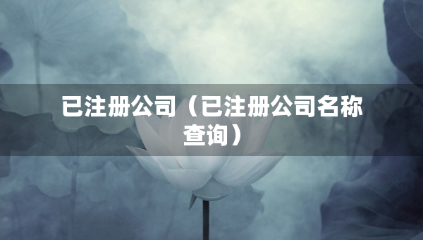已注冊公司（已注冊公司名稱查詢）