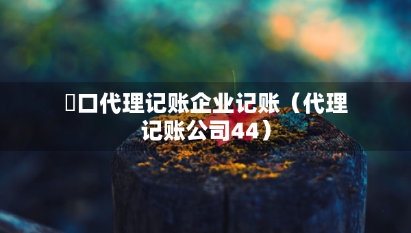 硚口代理記賬企業(yè)記賬（代理記賬公司44）