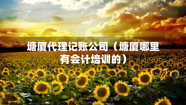 塘廈代理記賬公司（塘廈哪里有會計培訓(xùn)的）