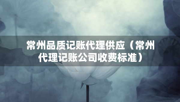 常州品質(zhì)記賬代理供應（常州代理記賬公司收費標準）