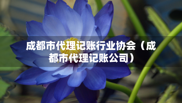 成都市代理記賬行業(yè)協(xié)會（成都市代理記賬公司）