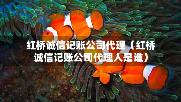 紅橋誠信記賬公司代理（紅橋誠信記賬公司代理人是誰）