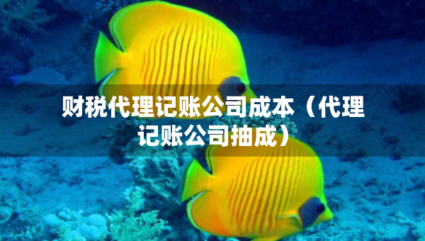財(cái)稅代理記賬公司成本（代理記賬公司抽成）