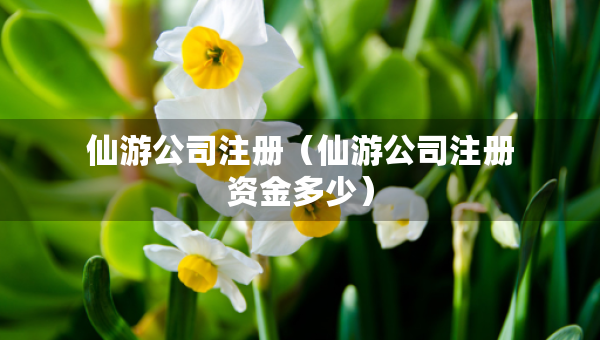 仙游公司注冊（仙游公司注冊資金多少）