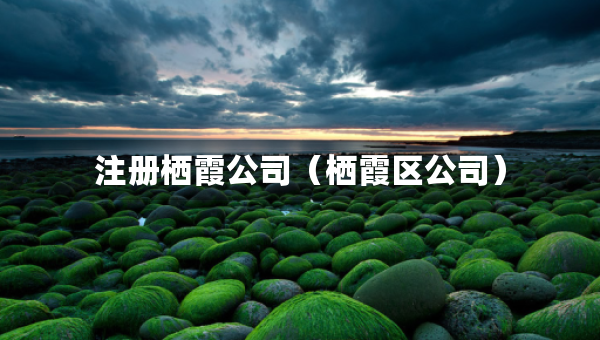 注冊(cè)棲霞公司（棲霞區(qū)公司）